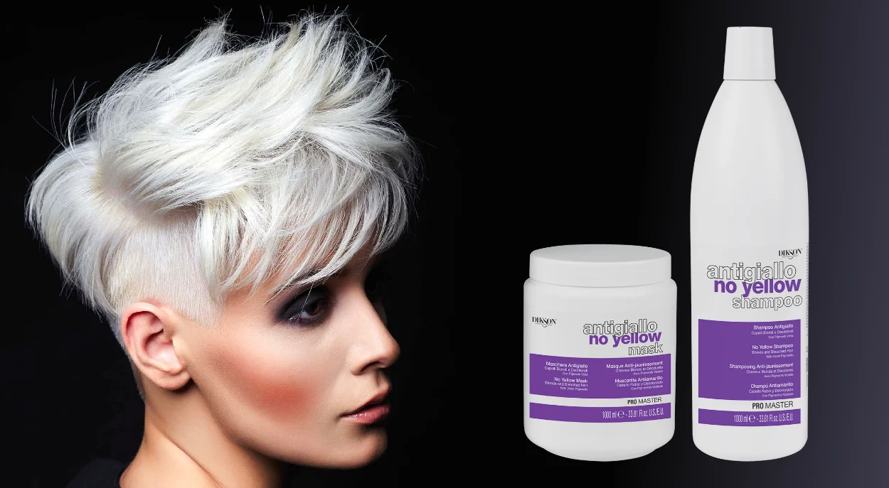 Dikson ProMaster AntiYellow Normal